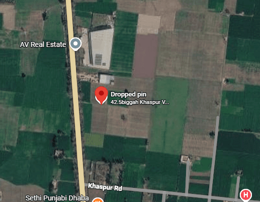 42.5 Biggah Vill.Khaspur  - Property Gallery Image | Realty Holding & Management Consultants