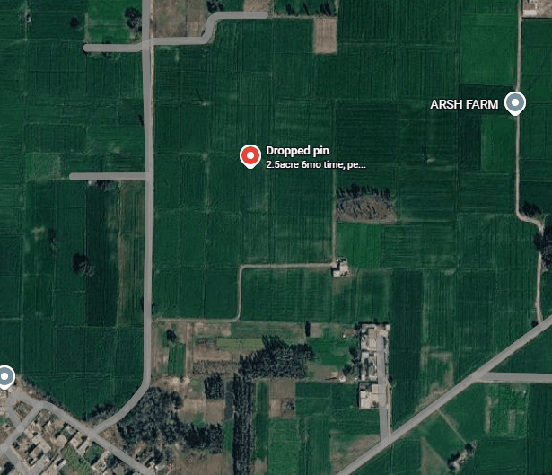 2.5 acre 6mo time, peda to piche an dghar di kand to pehla - Property Gallery Image | Realty Holding & Management Consultants