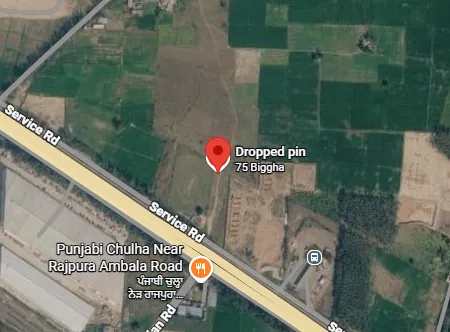 75 Biggha Agricultural Land for Sale in Rajpura - Exterior View
